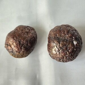Dragon Egg Early Diagenetic Cretaceous Pyrite Nodule Concretion Mooreville Chalk